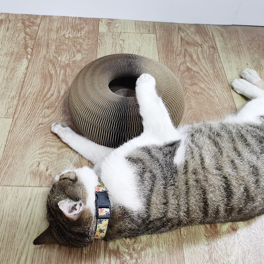 "MagicPaw 2-in-1 Cat Scratcher"